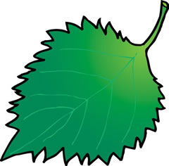 しそ