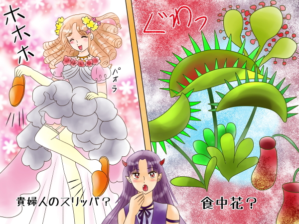 誕生花なぞなぞ 1月18日 貴婦人のスリッパと呼ばれる、食虫植物の様な花は?