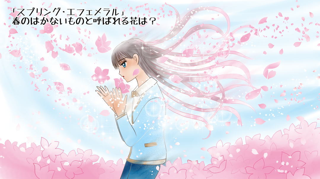 誕生花なぞなぞ 3月24日 「春のはかないもの」と呼ばれる花は?