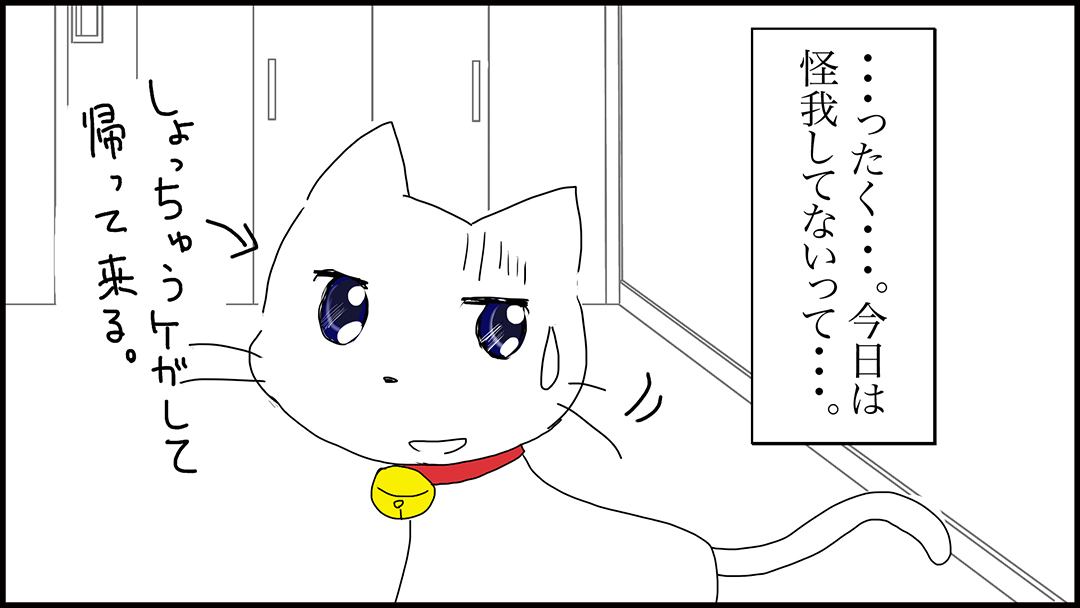 心配は猫をも困らす15