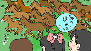 馬が群れになっている県は？