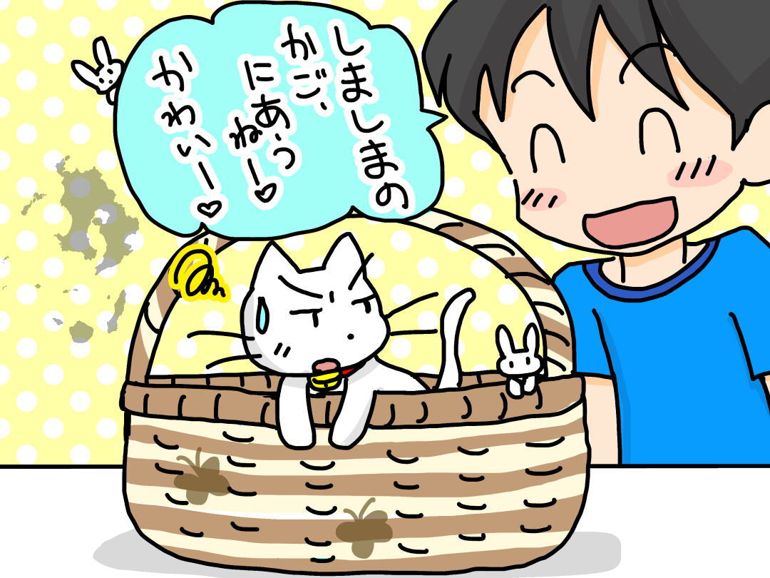 シマシマのカゴがある県は?<なぞなぞ小学校 問題>