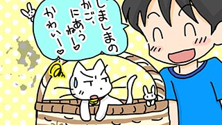 シマシマのカゴがある県は？