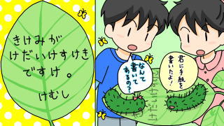 毛虫からの手紙を読んでください