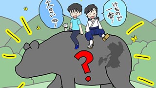 日本で一番大きな動物が住んでいる県は？