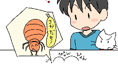 ノミが逆立ちすと、どんな虫？