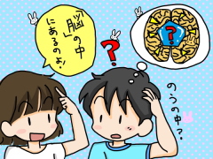 脳の中にある固い物は？