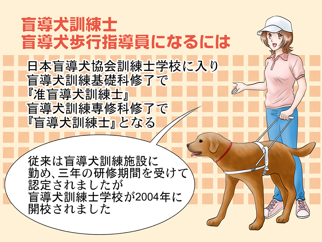 盲導犬訓練士・盲導犬歩行指導員(Guide dog trainer ・ Guide dog walking instructor)お仕事マンガ3