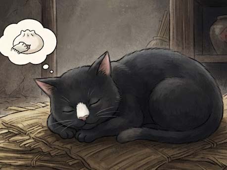 鼻の白いネコ